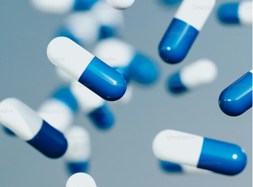 صورة عن الشركة